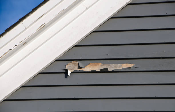 Best Demolition Debris Removal  in Greentown, IN