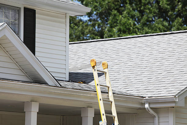 Best Shed Removal  in Greentown, IN